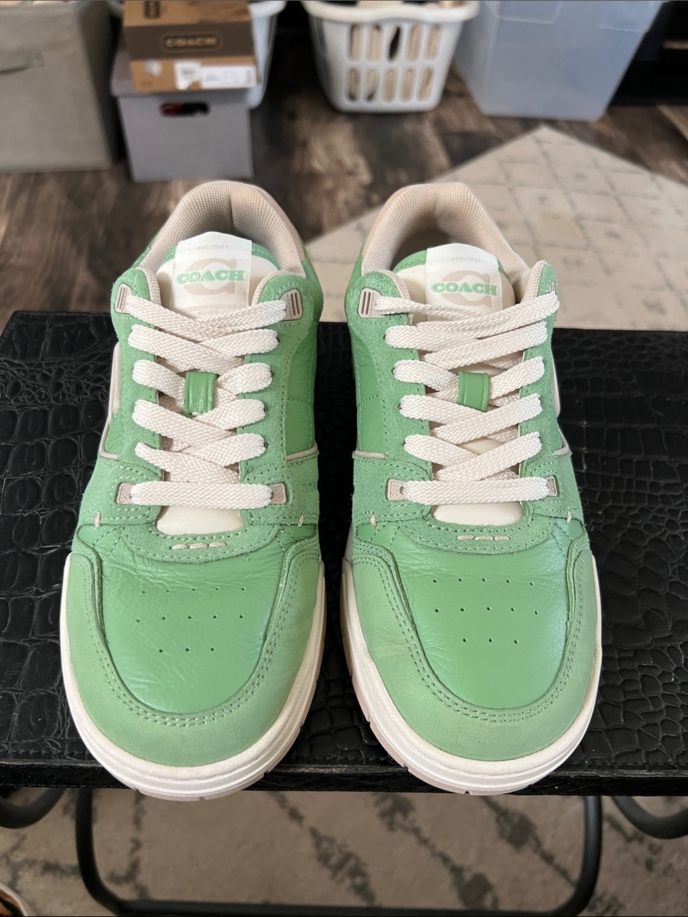 Coach SoHo Sneaker